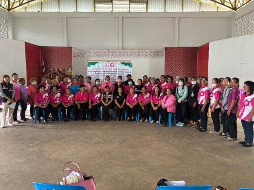 โครงการสนับสนุนการขับเคลื่อนโครงการเพิ่มทักษะอาสาสมัครพัฒนาสังคม และความมั่นคงของมนุษย์ในการช่วยเหลือกลุ่มเปราะบางรายกรณี